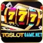 TG Slot Game