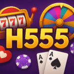 H555 Game
