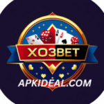 X03 Game