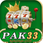 PAK33 Game